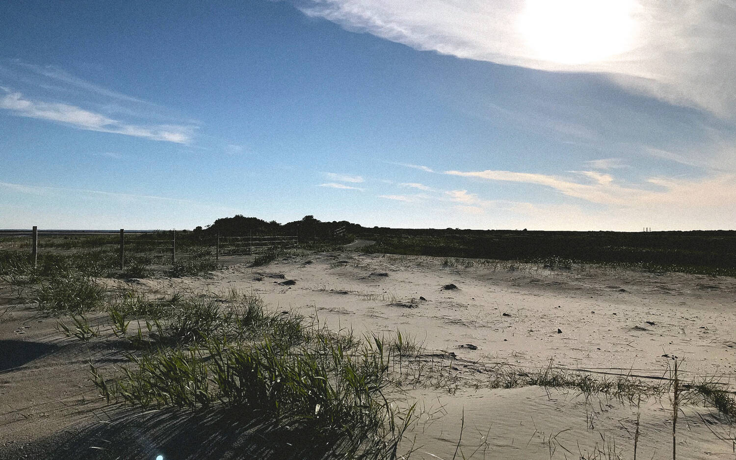 Dünen am Strand von Borkum vor blauem Himmel